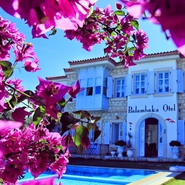 Balambaka Hotel - アラカティ エクステリア 写真