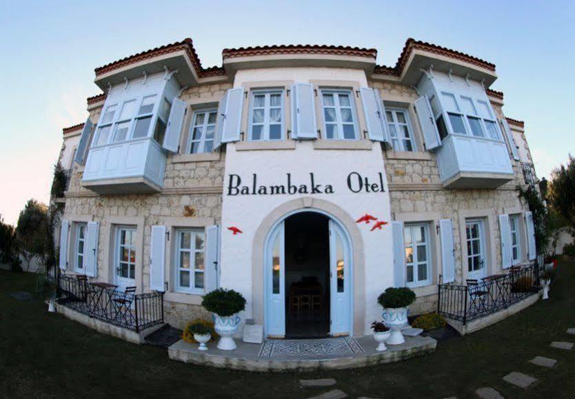 Balambaka Hotel - アラカティ エクステリア 写真